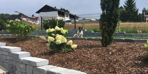 Bepflanzung mit Rindenmulch und Gartenmauer